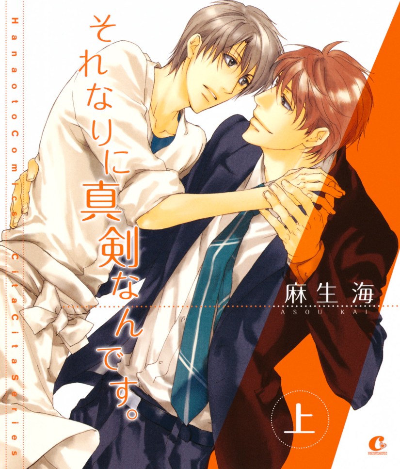 Amour_Sincère-1-couv